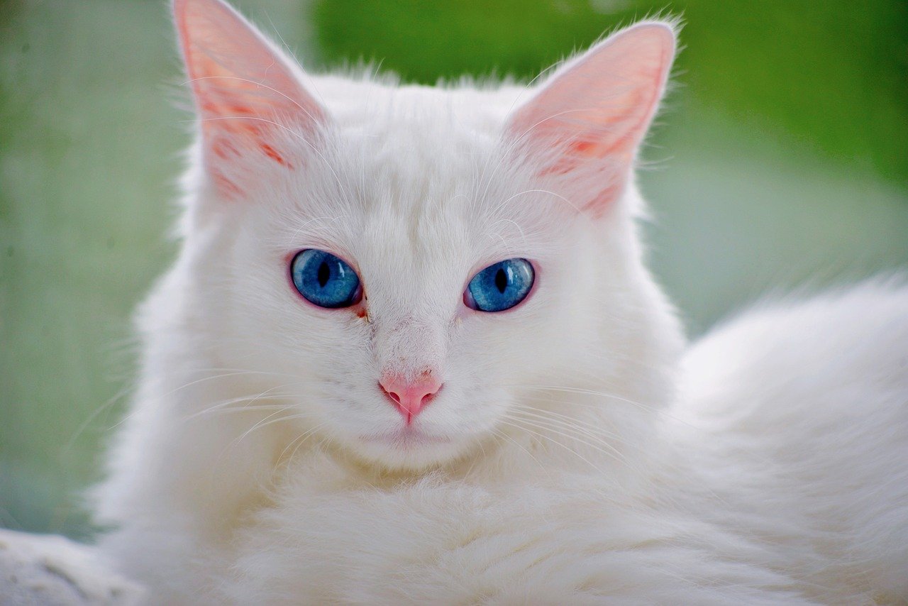 家庭用脱毛器で指の毛処理はどれが効果的？