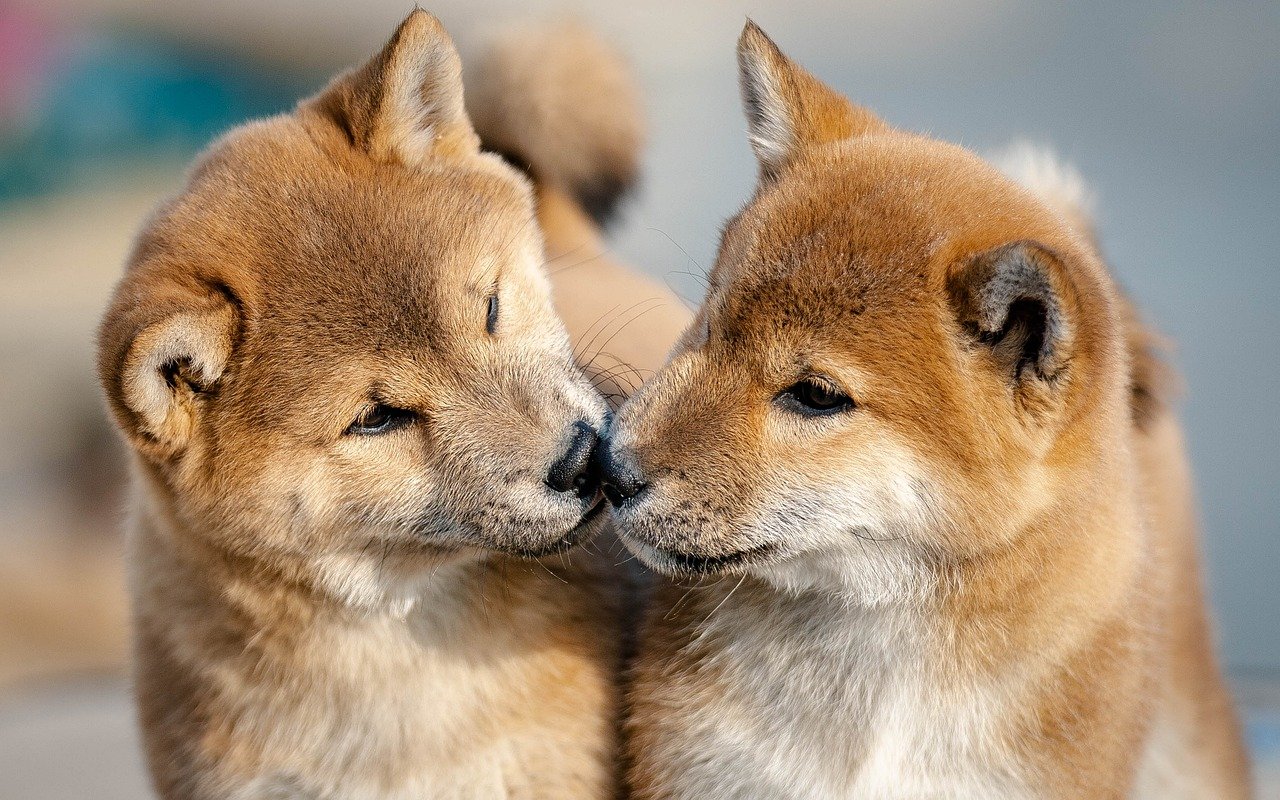 家庭用脱毛器の口コミをまとめたおすすめ情報は？