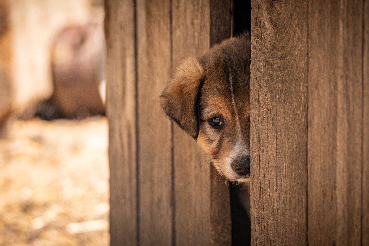 家庭用脱毛器の自宅での使い方はどのようにすれば良い？