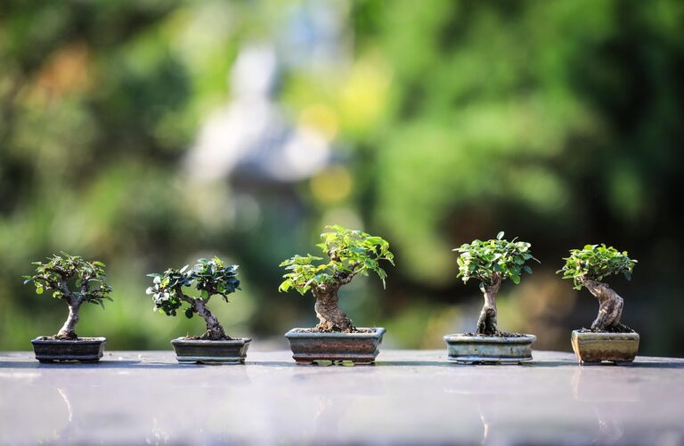 家庭用脱毛器はどれがおすすめ？